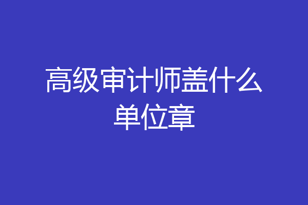 高级审计师盖什么单位章