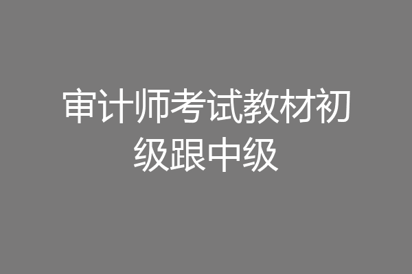 审计师考试教材初级跟中级
