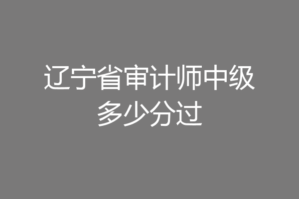 辽宁省审计师中级多少分过