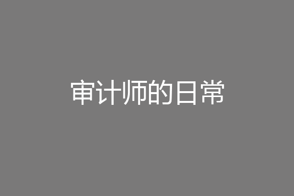 审计师的日常