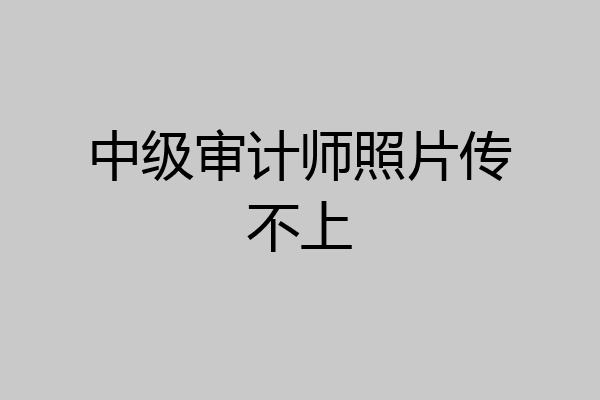 中级审计师照片传不上