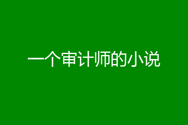 一个审计师的小说