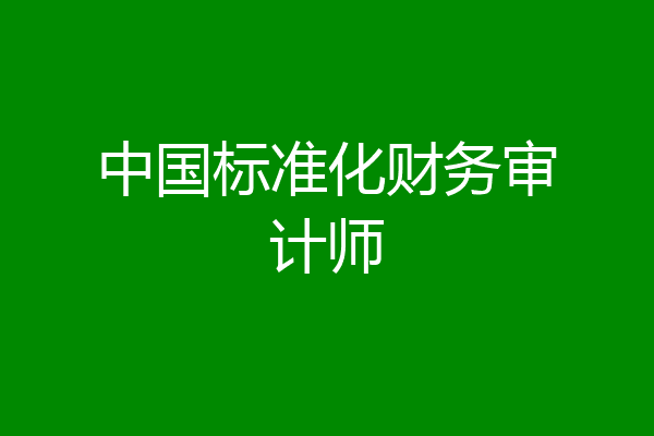 中国标准化财务审计师