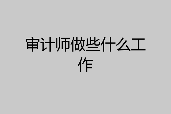 审计师做些什么工作