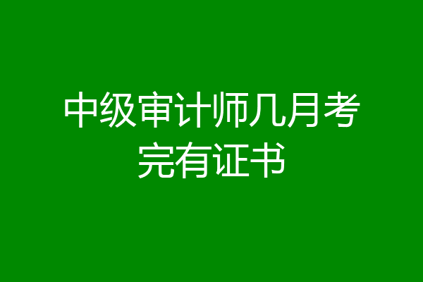 中级审计师几月考完有证书