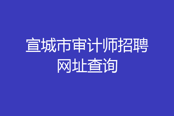 宣城市审计师招聘网址查询