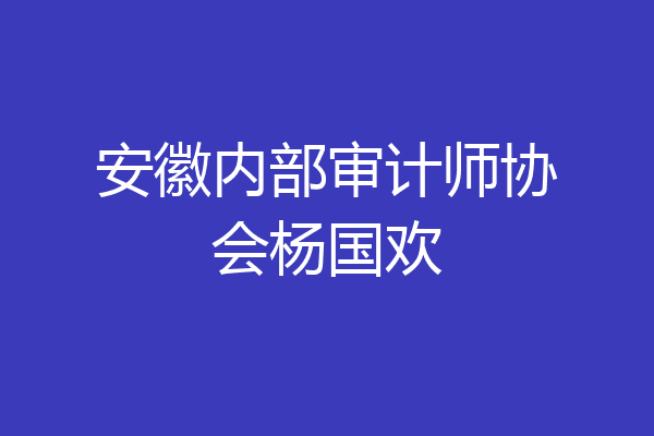 安徽内部审计师协会杨国欢