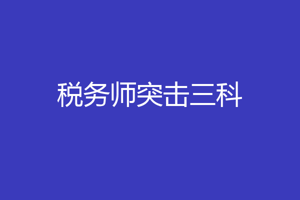 税务师突击三科
