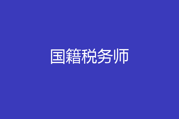 国籍税务师