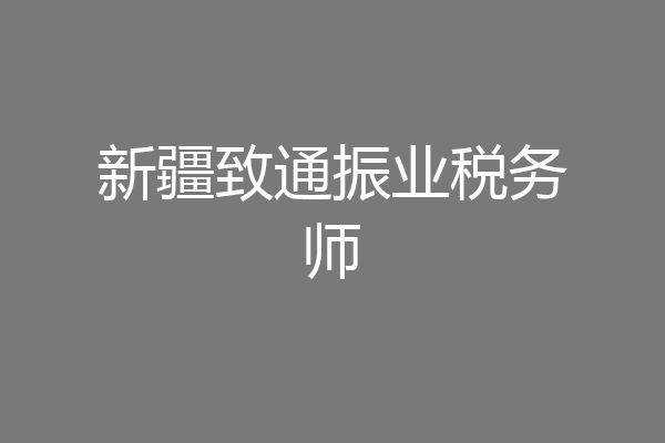 新疆致通振业税务师