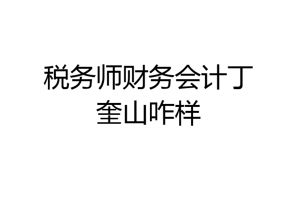 税务师财务会计丁奎山咋样