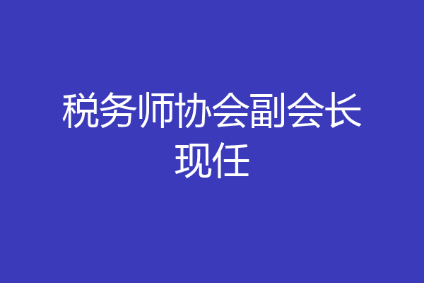 税务师协会副会长现任
