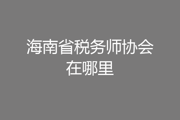 海南省税务师协会在哪里