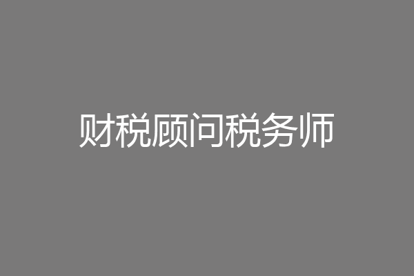 财税顾问税务师