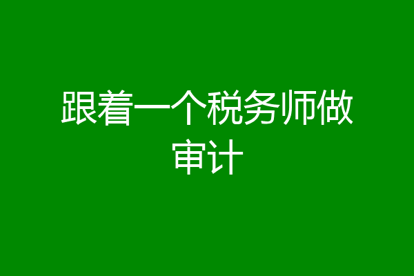 跟着一个税务师做审计