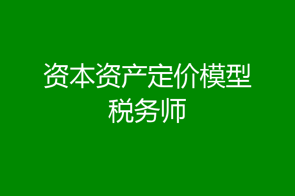 资本资产定价模型税务师