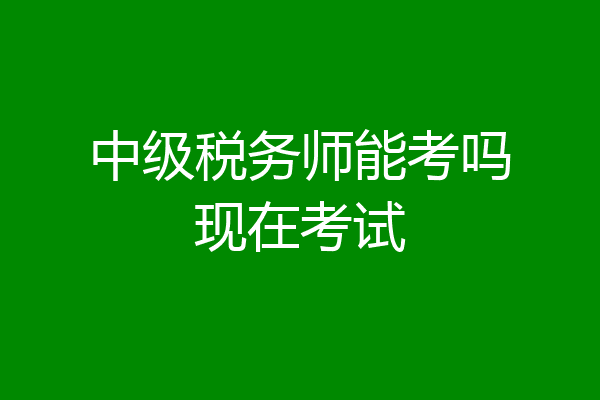 中级税务师能考吗现在考试