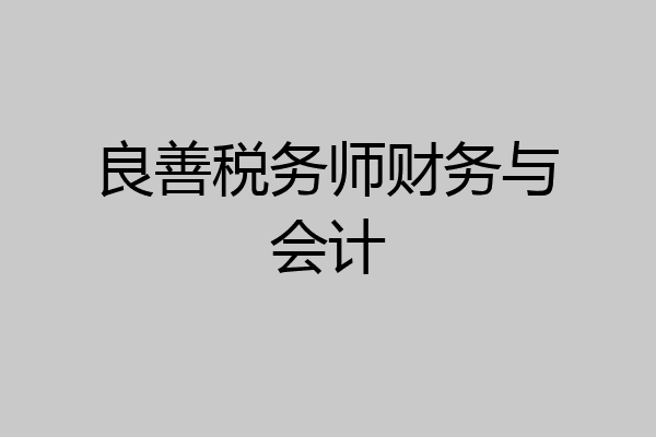 良善税务师财务与会计
