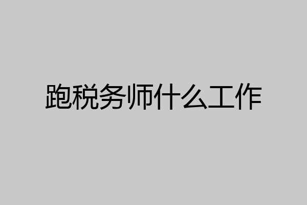 跑税务师什么工作