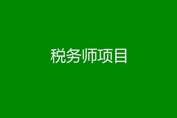 税务师项目