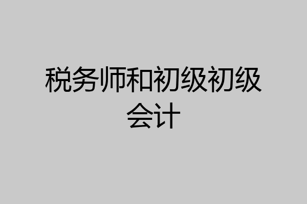 税务师和初级初级会计