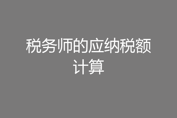 税务师的应纳税额计算