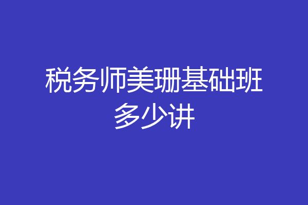 税务师美珊基础班多少讲
