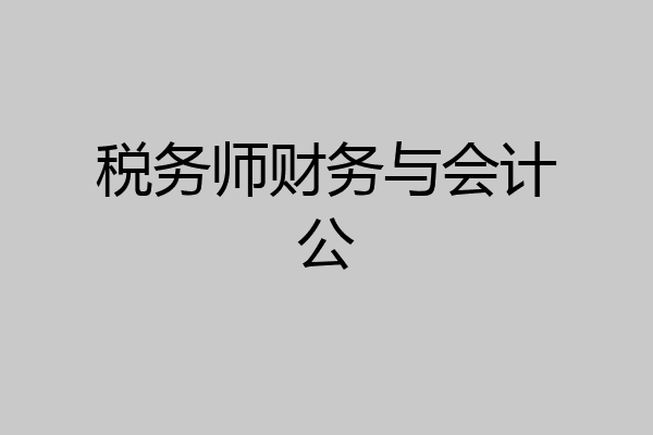 税务师财务与会计公