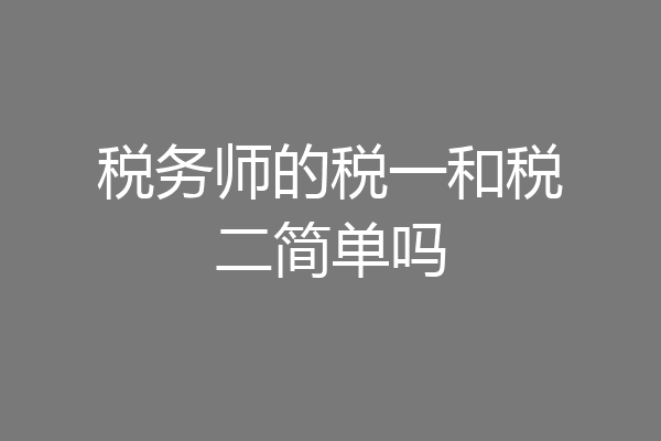 税务师的税一和税二简单吗