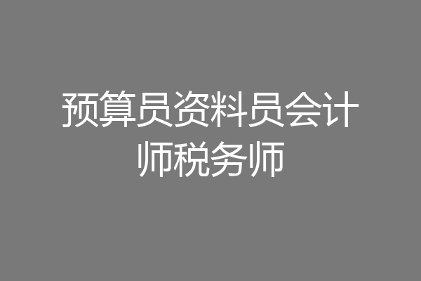 预算员资料员会计师税务师