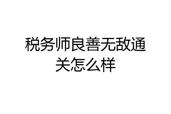 税务师良善无敌通关怎么样