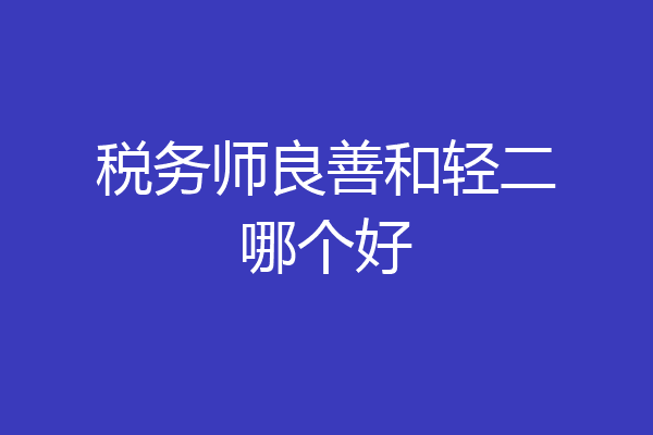税务师良善和轻二哪个好