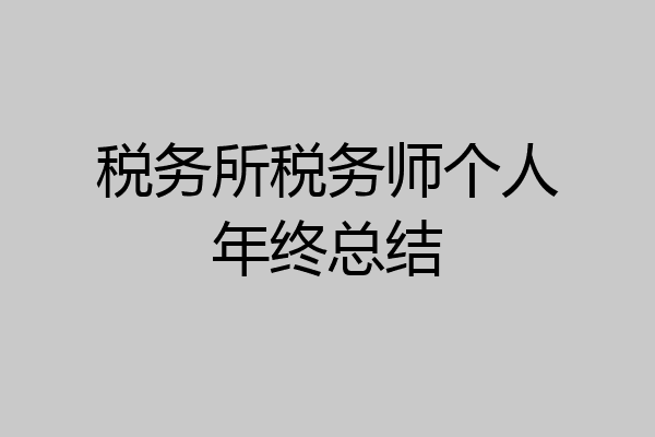 税务所税务师个人年终总结