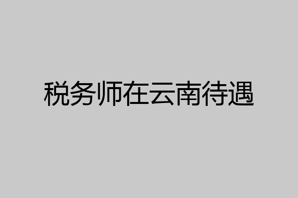 税务师在云南待遇