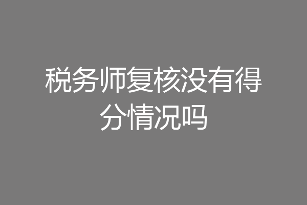 税务师复核没有得分情况吗