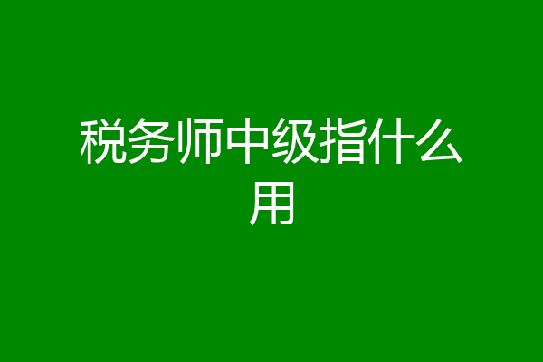 税务师中级指什么用