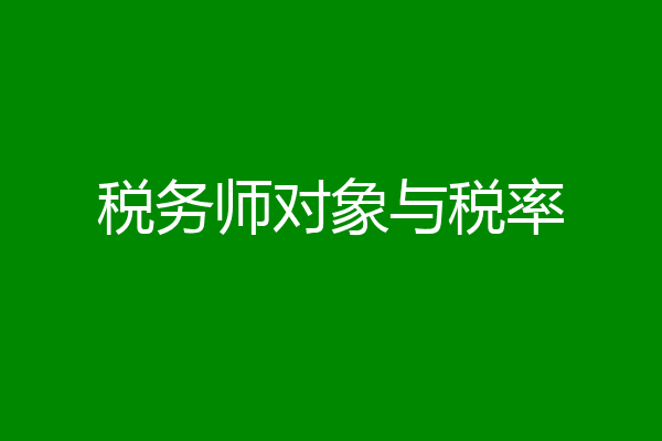 税务师对象与税率