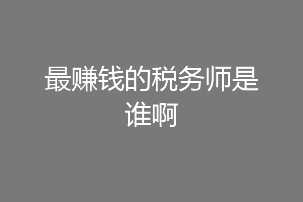 最赚钱的税务师是谁啊