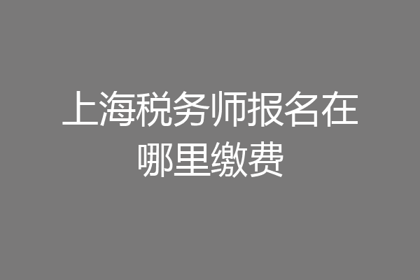 上海税务师报名在哪里缴费