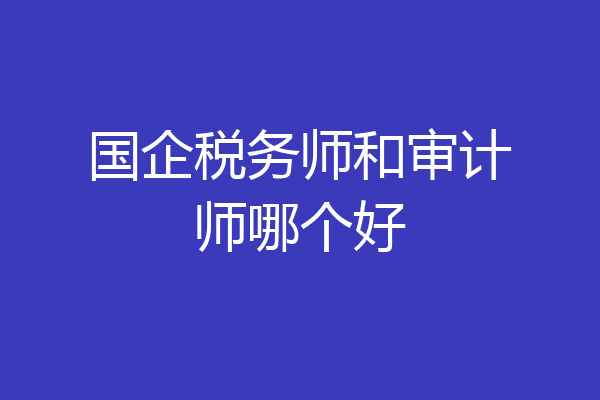 国企税务师和审计师哪个好
