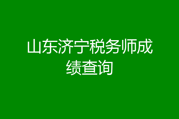 山东济宁税务师成绩查询