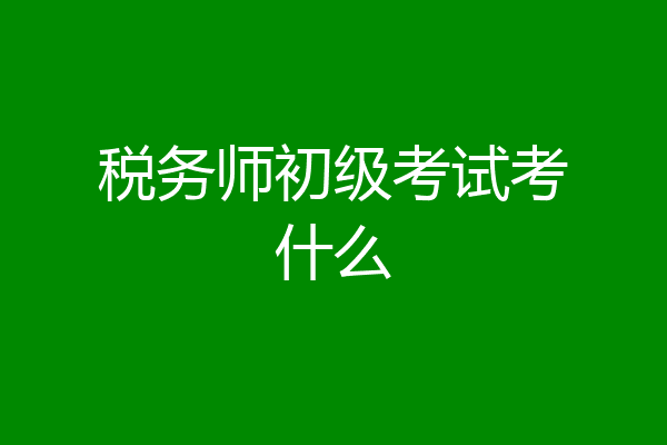 税务师初级考试考什么