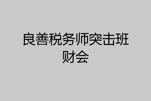 良善税务师突击班财会