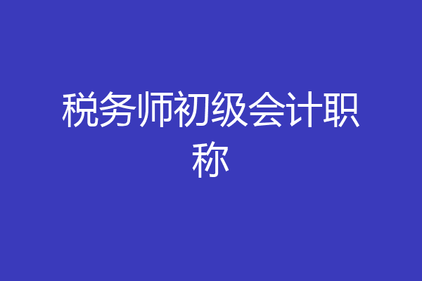 税务师初级会计职称
