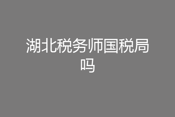 湖北税务师国税局吗