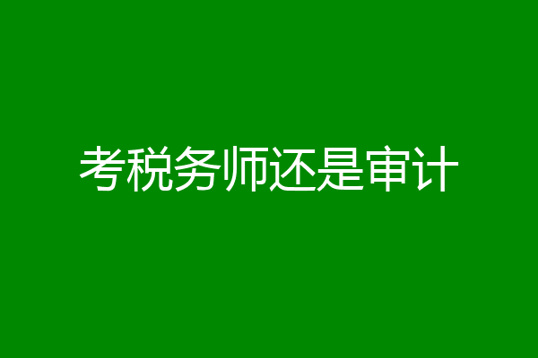 考税务师还是审计