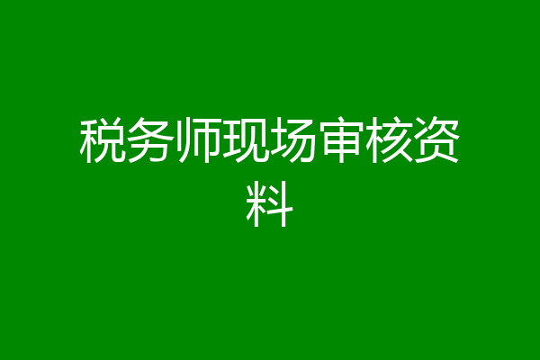税务师现场审核资料