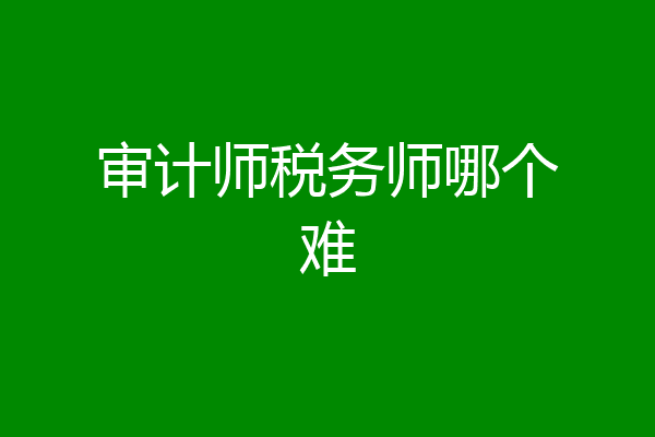 审计师税务师哪个难