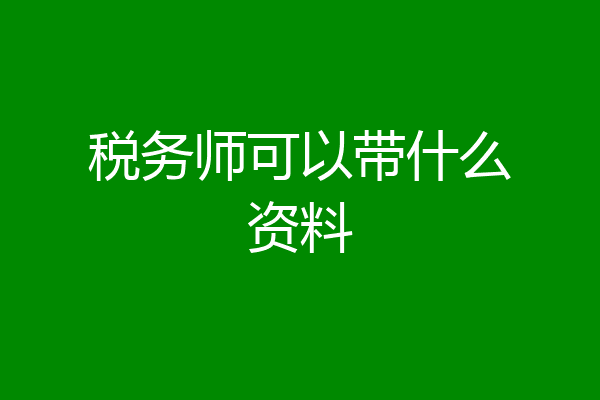 税务师可以带什么资料