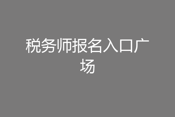 税务师报名入口广场